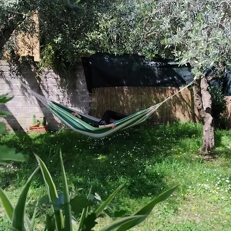 Pet's House Pensionat Rom